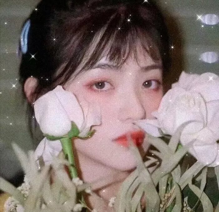 永不妥协 封面